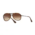 Ray-Ban Alex RB 4201 865/13