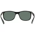 Ray-Ban Andy RB 4202 606971