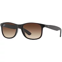 Ray-Ban Andy RB 4202 607313