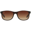 Ray-Ban Andy RB 4202 607313