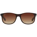 Ray-Ban Andy RB 4202 607313