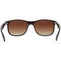 Ray-Ban Andy RB 4202 607313