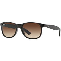 Ray-Ban Andy RB 4202 607313