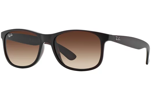Ray-Ban Andy RB 4202 607313