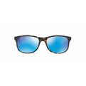 Ray-Ban Andy RB 4202 710/9R