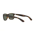 Ray-Ban Andy RB 4202 710/Y4