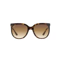 Ray-Ban Cats 1000 RB 4126 710/51