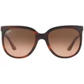 Ray-Ban Cats 1000 RB 4126 820/A5
