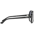 Ray-Ban Cats 5000 RB 4125 601/3F