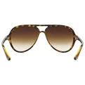Ray-Ban Cats 5000 RB 4125 710/51