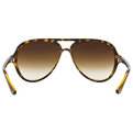 Ray-Ban Cats 5000 RB 4125 710/51