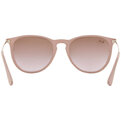 Ray-Ban Erika RB 4171 600068