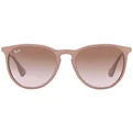 Ray-Ban Erika RB 4171 600068