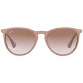 Ray-Ban Erika RB 4171 600068