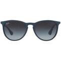 Ray-Ban Erika RB 4171 60028G