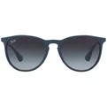 Ray-Ban Erika RB 4171 60028G