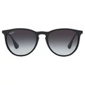 Ray-Ban Erika RB 4171 622/8G