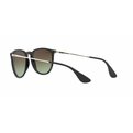 Ray-Ban Erika RB 4171 6316E8