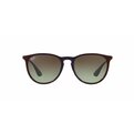 Ray-Ban Erika RB 4171 6316E8