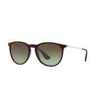 Ray-Ban Erika RB 4171 6316E8