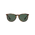 Ray-Ban Erika RB 4171 710/71