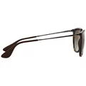 Ray-Ban Erika RB 4171 710/T5