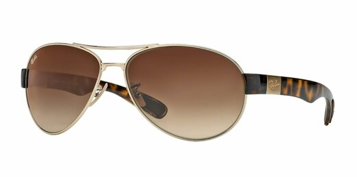 Ray-Ban RB 3509 001/13