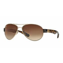 Ray-Ban RB 3509 001/13