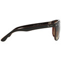 Ray-Ban RB 4147 609585