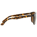 Ray-Ban RB 4147 710/57