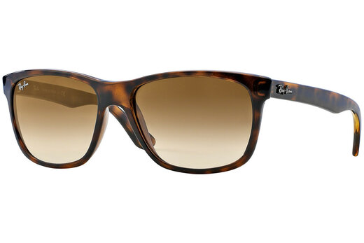 Ray-Ban RB 4181 710/51