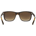 Ray-Ban RB 4181 710/51