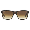 Ray-Ban RB 4181 710/51