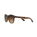 Ray-Ban RB 4203 710/13