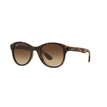 Ray-Ban RB 4203 710/13