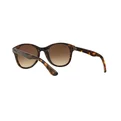 Ray-Ban RB 4203 710/13