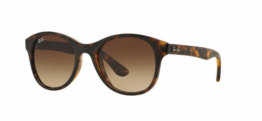 Ray-Ban RB 4203 710/13