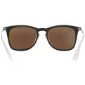 Ray-Ban RB 4221 617055