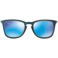 Ray-Ban RB 4221 617055