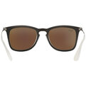 Ray-Ban RB 4221 617055