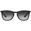 Ray-Ban RB 4221 622/8G