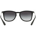 Ray-Ban RB 4221 622/8G