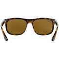 Ray-Ban RB 4226 710/73