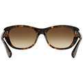 Ray-Ban RB 4227 710/13