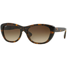 Ray-Ban RB 4227 710/13