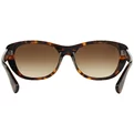 Ray-Ban RB 4227 710/13