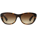 Ray-Ban RB 4227 710/13