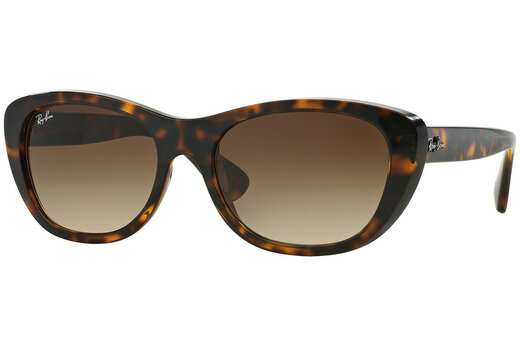 Ray-Ban RB 4227 710/13