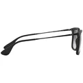 Ray-Ban RB 4228 601S71
