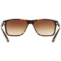 Ray-Ban RB 4234 620513